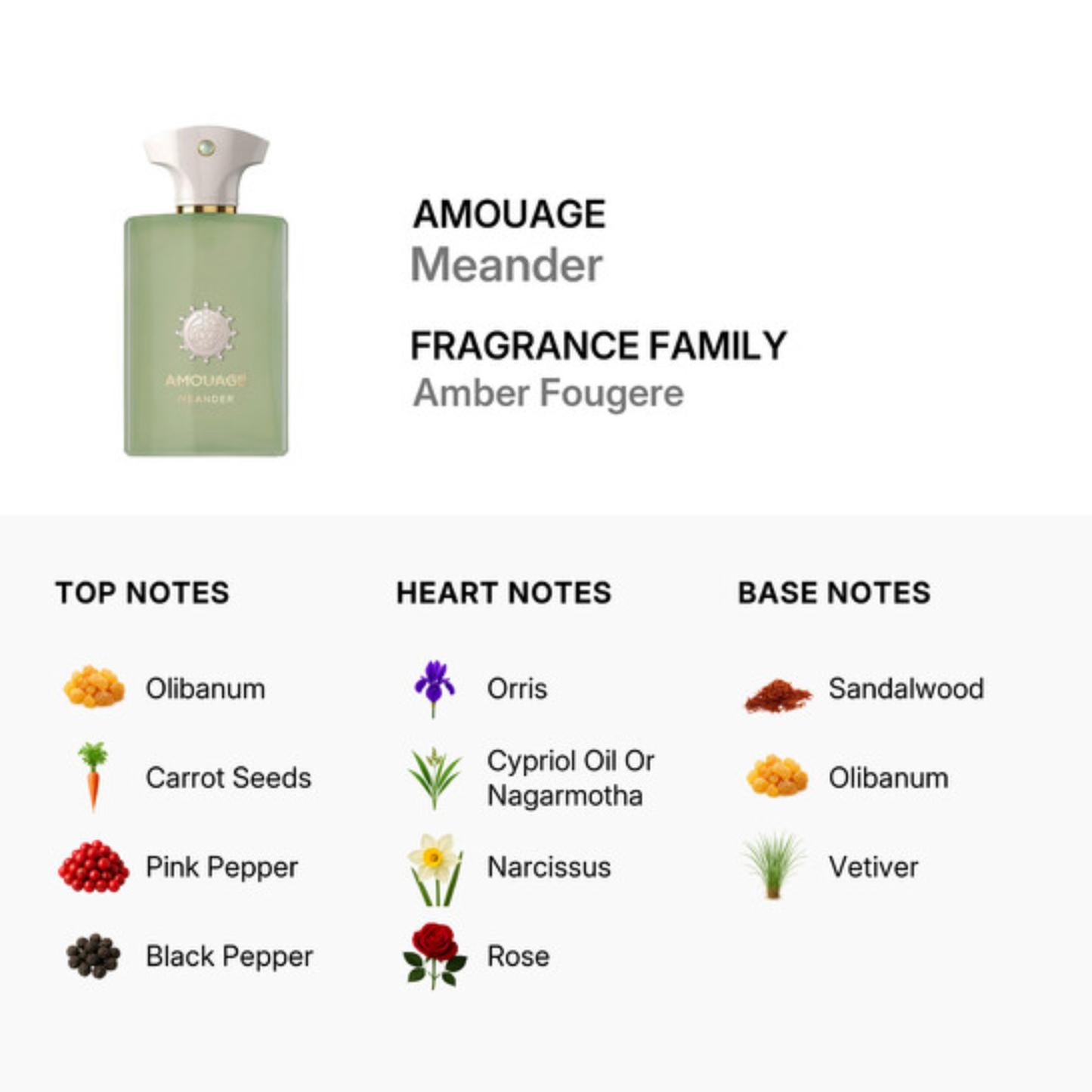 Amouage Meander Eau de Parfum M 100ml (New)