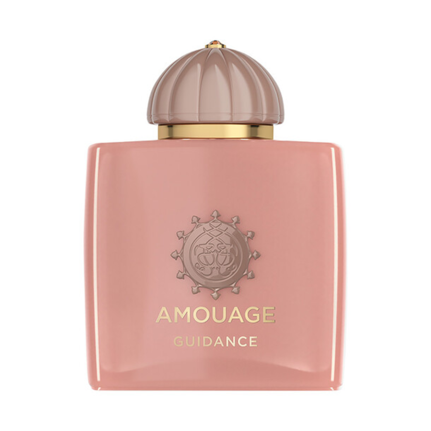 Amouage Guidance Eau de Parfum 100ml