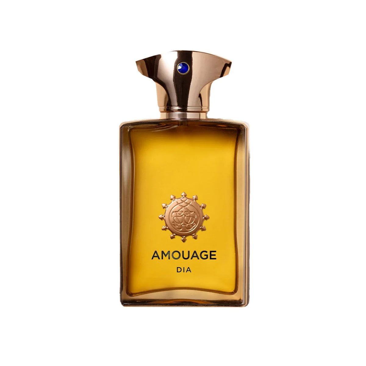 Amouage Dia Eau de Parfum for Men 100ml