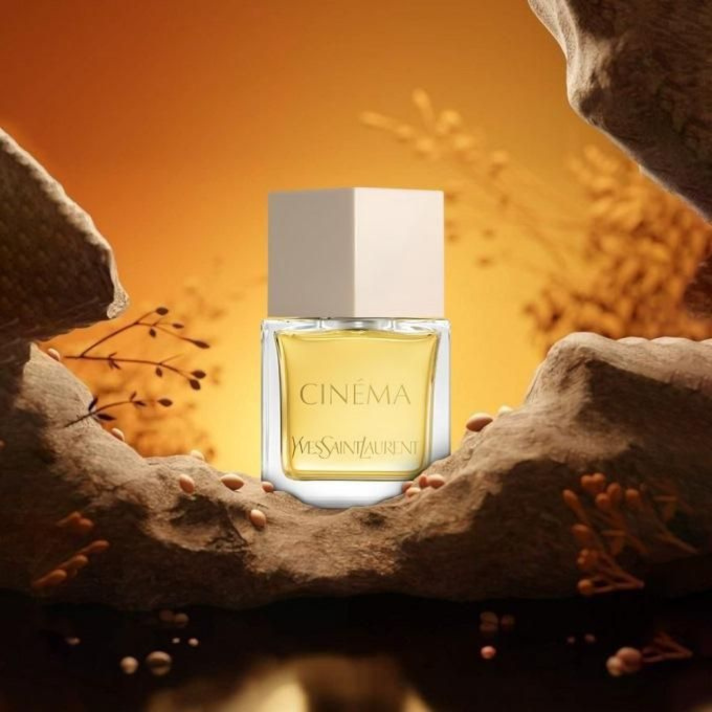 Yves Saint Laurent Cinéma Eau de Parfum for Women 80ml