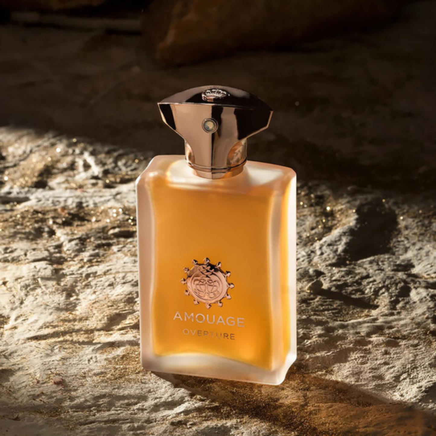 Amouage Overture Eau de Parfum M 100ml (New)