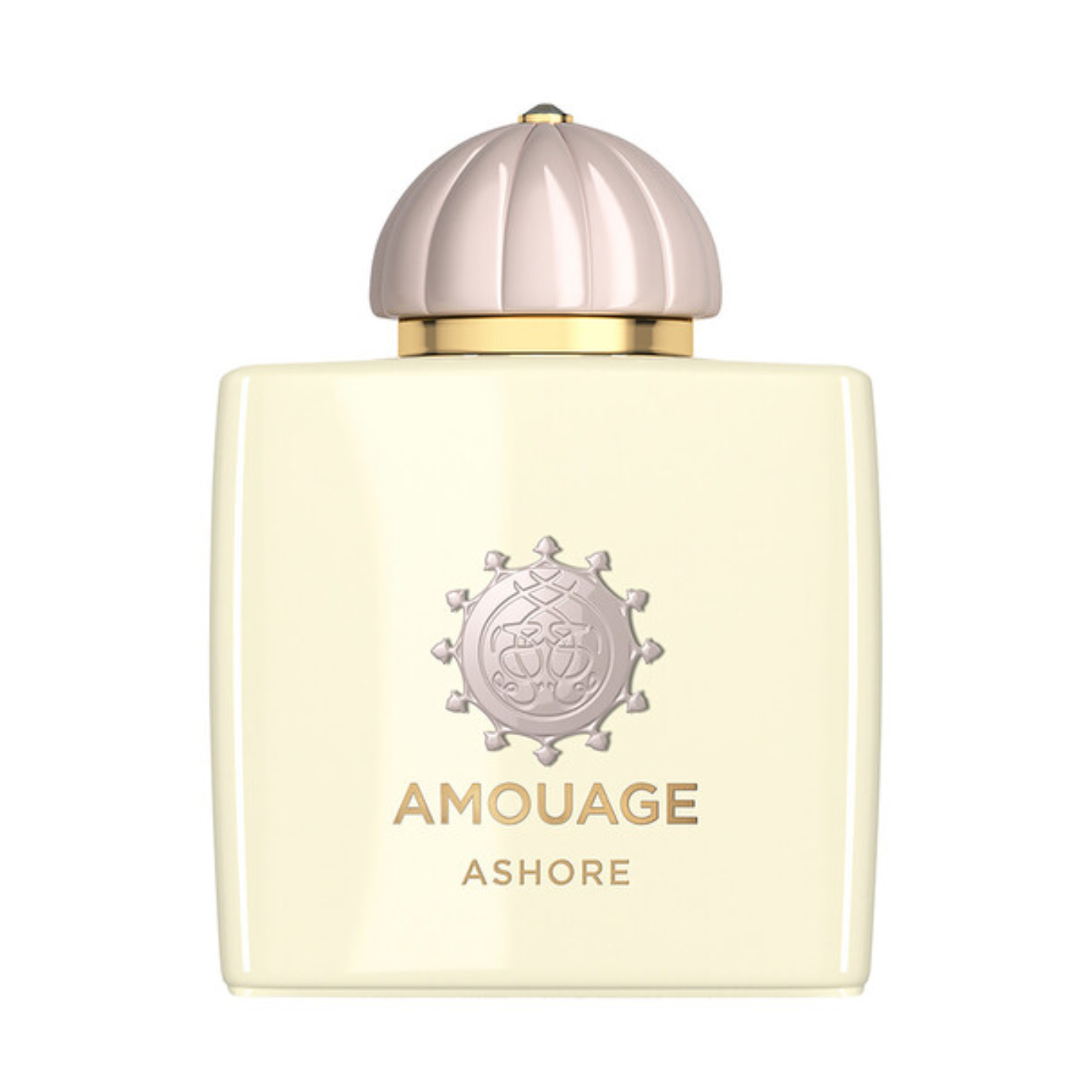 Amouage Ashore Edp 100Ml