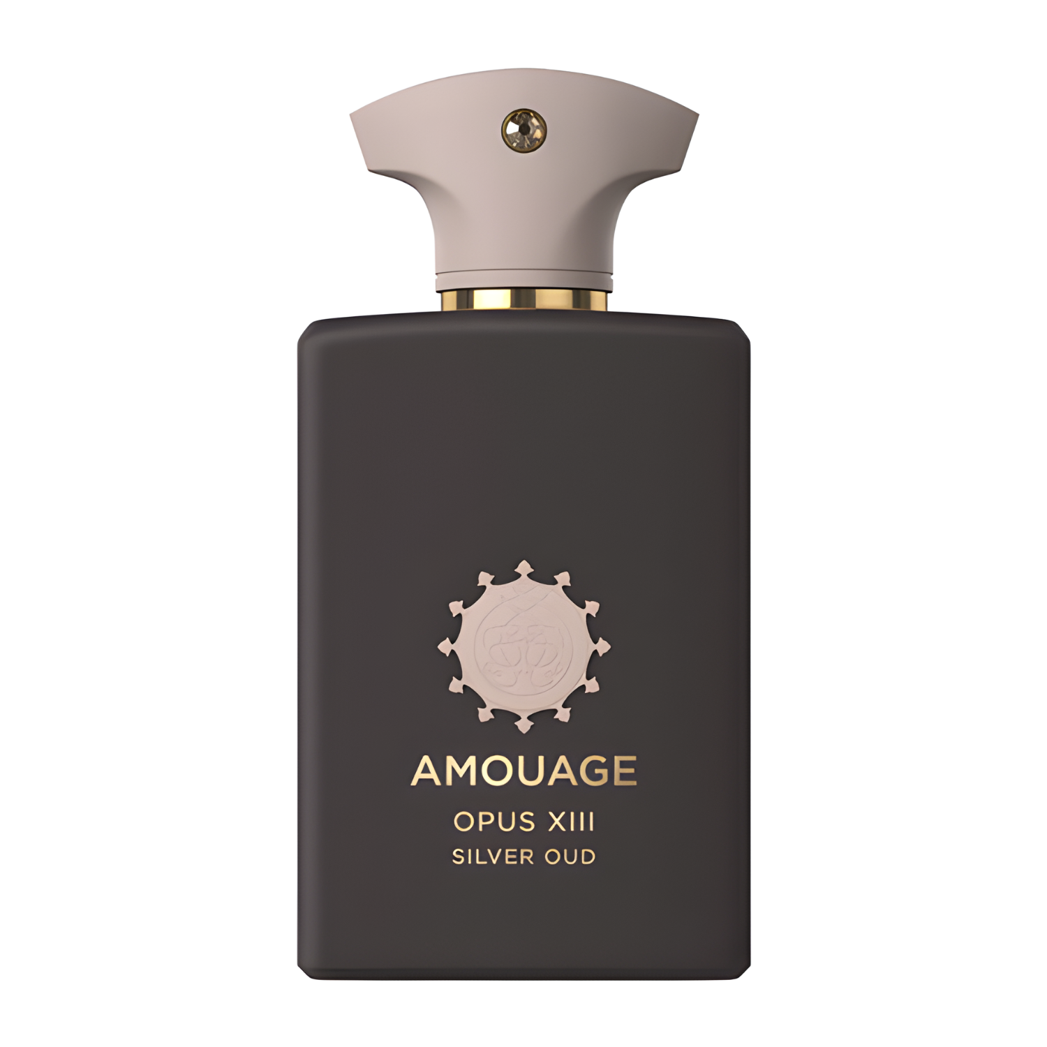 Amouage Opus Xiii Silver Oud Edp 100Ml (New)