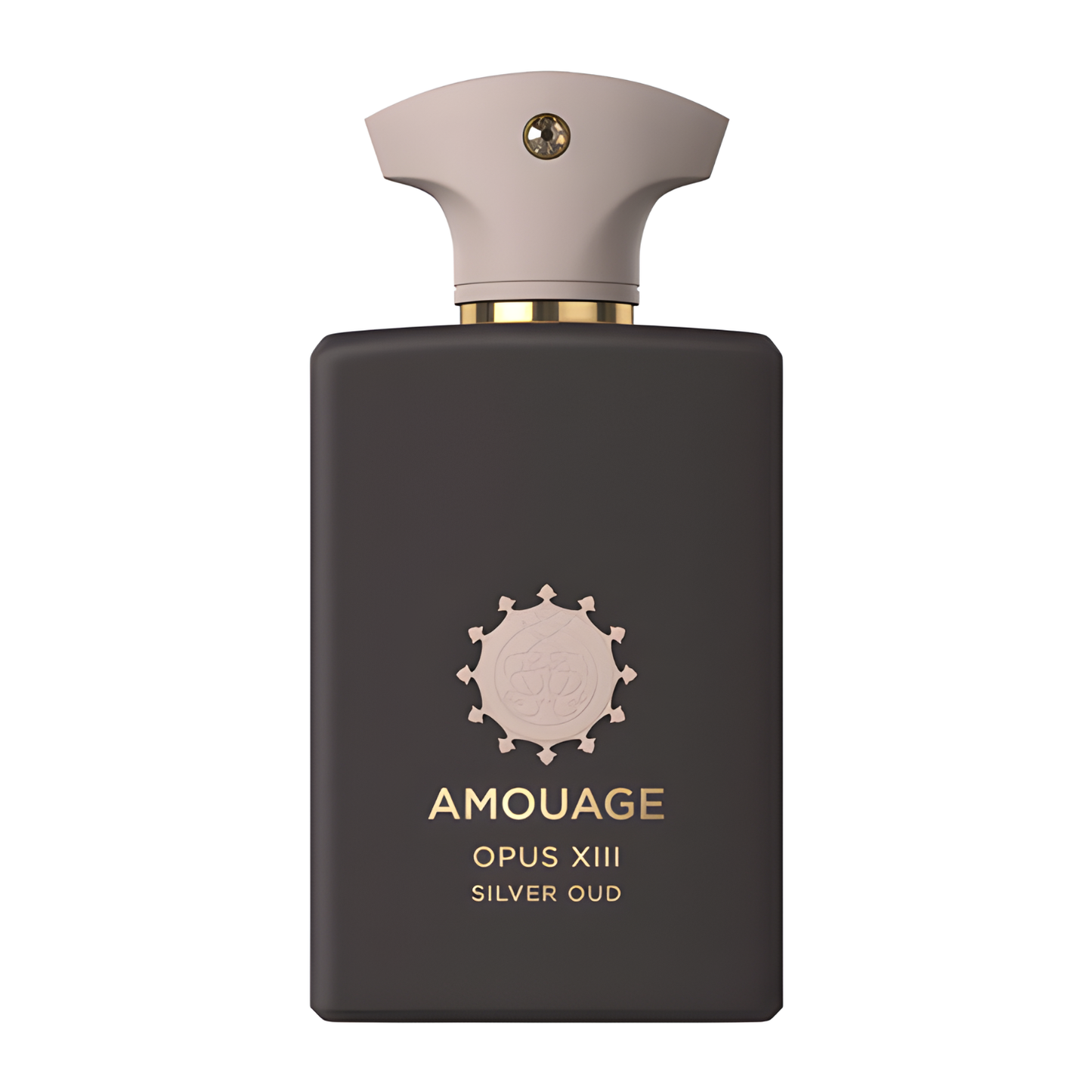 Amouage Opus Xiii Silver Oud Eau de Parfum 100ml (New)