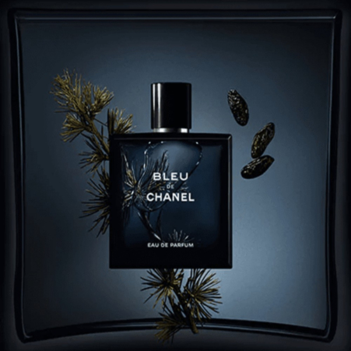 Chanel Bleu De Chanel Eau de Toilette 100ml for Men