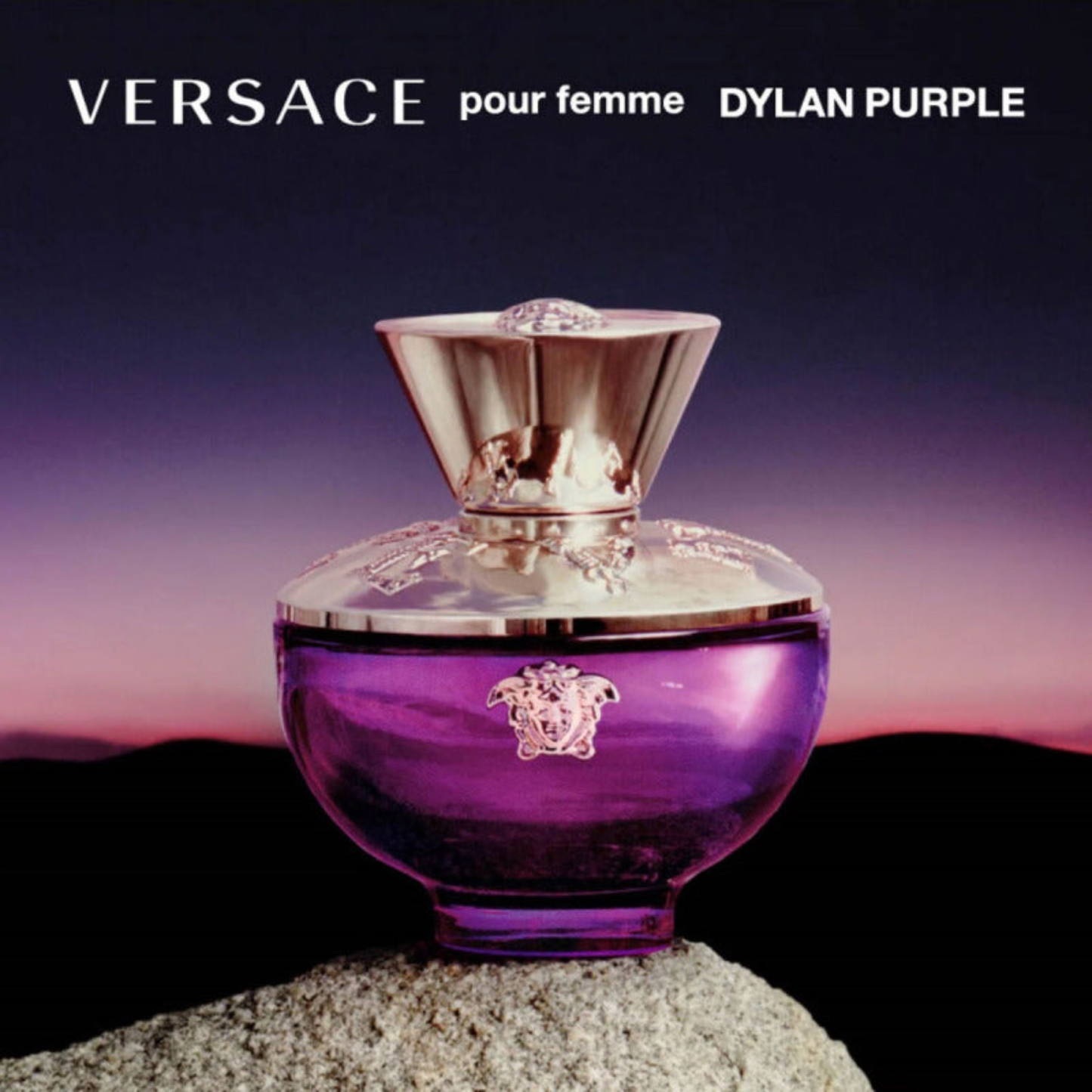 Versace Dylan Purple Pour Femme Eau de Parfum 100ml